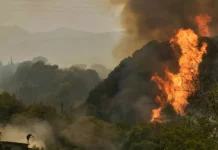 Alerta en Europa por incendios forestales: 439.568 hectáreas quemadas en lo que va del año Alerta en Europa por incendios forestales: 439.568 hectáreas quemadas en lo que va del año