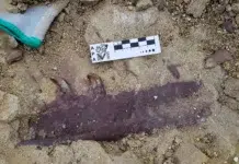 Hallan nueva especie de dinosaurio en Chubut Hallan nueva especie de dinosaurio en Chubut