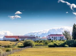 Sembrarán unas 400 hectáreas de avena y trigo cerca de El Calafate