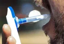 Buscan que funcionarios realicen exámenes toxicológicos periódicos Buscan que funcionarios realicen exámenes toxicológicos periódicos