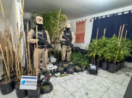 Golpe al narcotráfico en Río Grande con un secuestro superior a los 140 millones de pesos