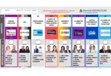 Chubut vota dos diputados en un escenario político fracturado Chubut vota dos diputados en un escenario político fracturado