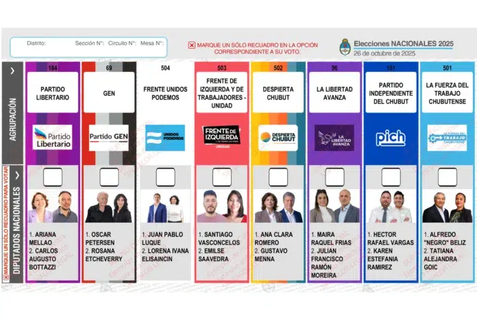 Chubut vota dos diputados en un escenario político fracturado