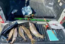 Detectan pesca ilegal en el río Milna Detectan pesca ilegal en el río Milna