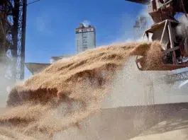 Las cerealeras liquidaron una cifra récord de dólares en septiembre por la quita de retenciones