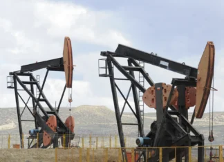 Cigüeñas extraen petroleo en el norte de Santa Cruz - Foto: OPI Santa Cruz/Francisco Muñoz