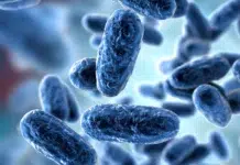 Detectan dos casos de tos convulsa y activan protocolo Detectan dos casos de tos convulsa y activan protocolo