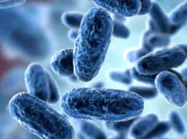 Detectan dos casos de tos convulsa y activan protocolo