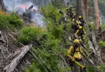 Continúa activo el incendio en el Parque Nacional Los Alerces y ya afectó 340 hectáreas