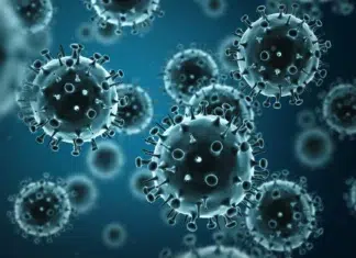 Cepa K de Influenza: Avanza en la Patagonia sin nexo de viaje Detectan dos casos de influenza A (H3N2) subclado K en Santa Cruz