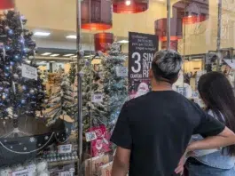 La venta de juguetes cayó 6,6 por ciento en el cierre del año