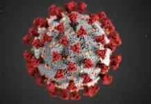 Bolivia activa vigilancia sanitaria por sospecha de influenza variante K Bolivia activa vigilancia sanitaria por sospecha de influenza variante K