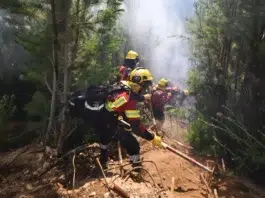 Gobierno nacional intervino el Parque Nacional Los Alerces por los incendios forestales