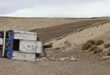 Volcó un camión que transportaba ovinos en Ruta 3 Volcó un camión que transportaba ovinos en Ruta 3