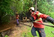 Se reavivó el fuego en Puerto Patriada El fuego amenaza viviendas en Puerto Patriada pese al despliegue de 350 combatientes