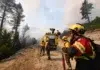 Inician la construcción de 73 casas para damnificados de incendios forestales El incendio en Puerto Patriada sigue activo y moviliza a 230 brigadistas