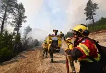 Inician la construcción de 73 casas para damnificados de incendios forestales El incendio en Puerto Patriada sigue activo y moviliza a 230 brigadistas