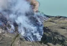Incendio en el Cerro Huemul activa operativo aéreo y terrestre en El Chaltén Incendio en el Cerro Huemul activa operativo aéreo y terrestre en El Chaltén