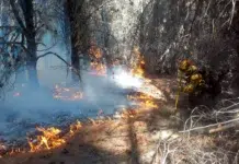Avanza el fuego en la zona de Villa Lago Rivadavia y se amplió el operativo de emergencia Avanza el fuego en la zona de Villa Lago Rivadavia y se amplió el operativo de emergencia