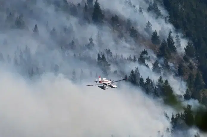 Incendio en Los Alerces ya afectó más de 16 mil hectáreas en Chubut