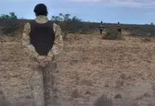 Denuncian abigeato y daños en un establecimiento ganadero Denuncian abigeato y daños en un establecimiento ganadero