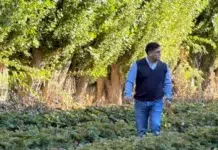 El gobierno provincial empezó a vivir el panic politik de su propia impericia. Del “no habrá aumento salarial en 2026” al “no habrá congelamiento salarial” con ADOSAC El Gobernador de Santa Cruz, Claudio Vidal -