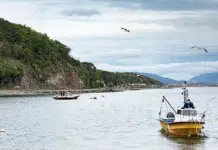 Buscan fortalecer la pesca artesanal en el norte fueguino Buscan fortalecer la pesca artesanal en el norte fueguino