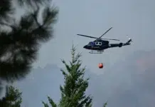 A casi cuatro meses del inicio del primer foco, declararon extinto el incendio en el Parque Nacional Los Alerces El incendio en el Parque Nacional Los Alerces afectó a 16 mil hectáreas