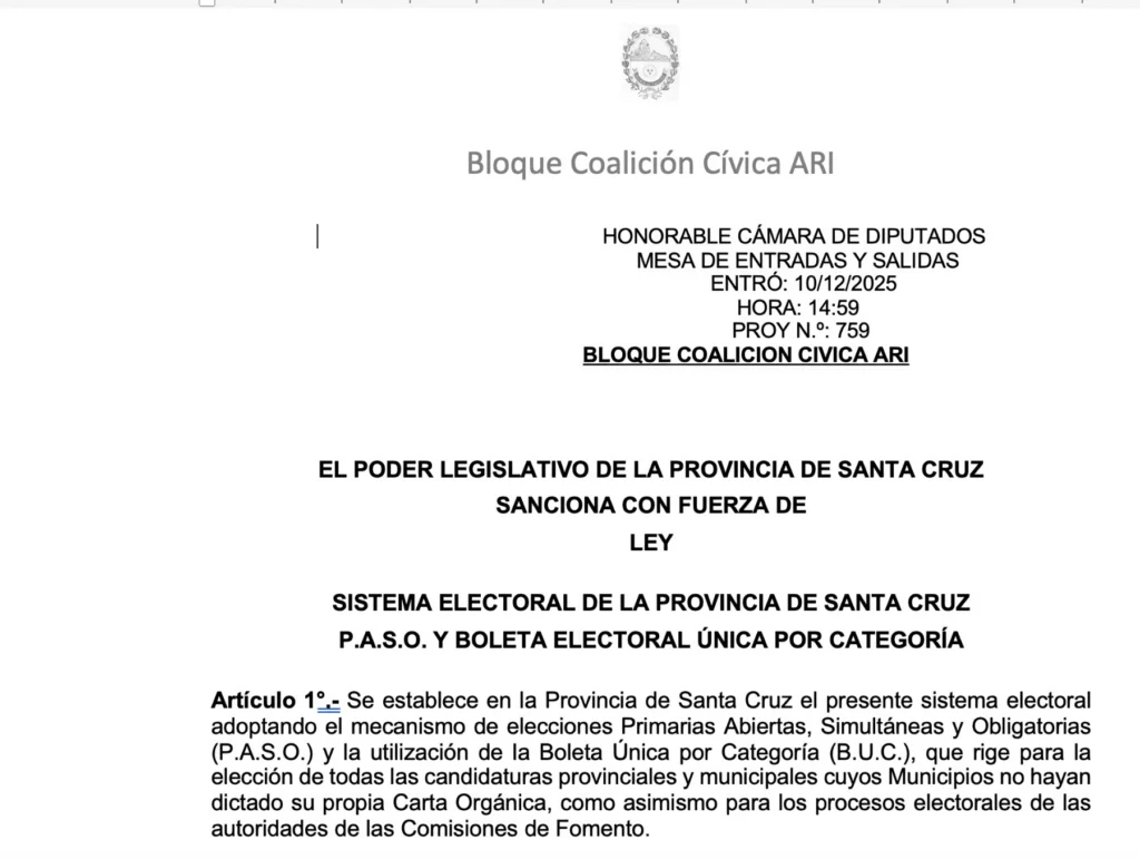 Analizamos los tres proyectos para el cambio del sistema electoral en Santa Cruz