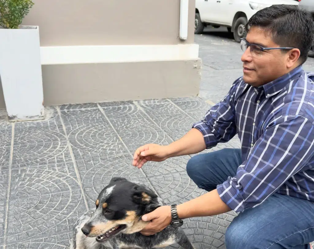 Las Pastillas del Domingo: ¿Autoconvocados o convocados con autos?, Los 270 del Jairo, Solo, peleado con todos y sin recambio y Opereta política o globo de ensayo