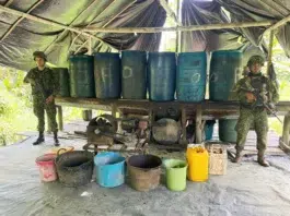 La Armada de Colombia destruyó 30 laboratorios de cocaína