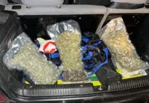 Secuestran casi dos kilos de marihuana en un control de rutina en Esquel Secuestran casi dos kilos de marihuana en un control de rutina en Esquel