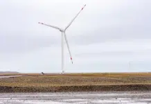 Inició la producción el parque eólico más austral del mundo Inició la producción el parque eólico más austral del mundo