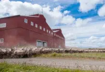 Actualizaron la valuación fiscal de los inmuebles rurales en Tierra del Fuego Investigan en robo de ganado en una histórica estancia de Tierra del Fuego