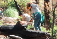 Plantaron 20 mil árboles en la reserva Río Turbio Plantaron 20 mil árboles en la reserva Río Turbio