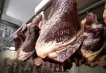 La cuota europea margina a los productores patagónicos de las exportaciones premium Carne de para exportación - Foto: NA