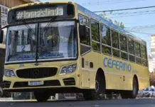 Sube el boleto de colectivo en Puerto Madryn La empresa “Ceferino del Sur S.A” de Puerto Madryn -