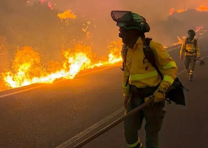 Incendio en Andalucía deja 12 muertos y 23 desaparecidos