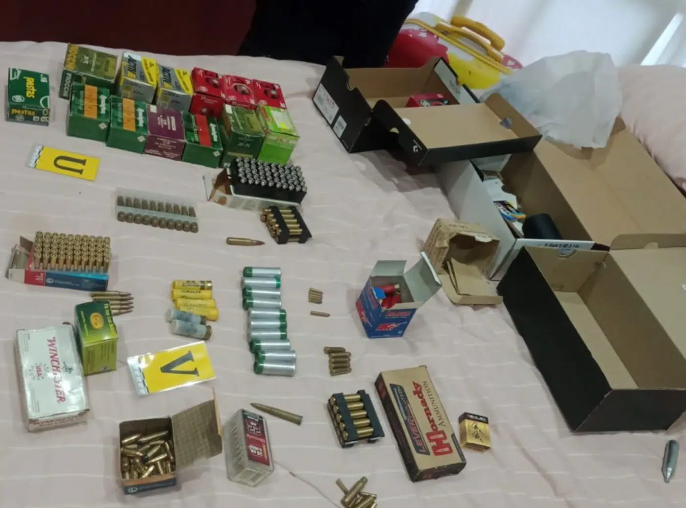 Policía secuestró 23 armas de fuego en un allanamiento en Río Turbio Policía secuestró 23 armas de fuego en un allanamiento en Río Turbio