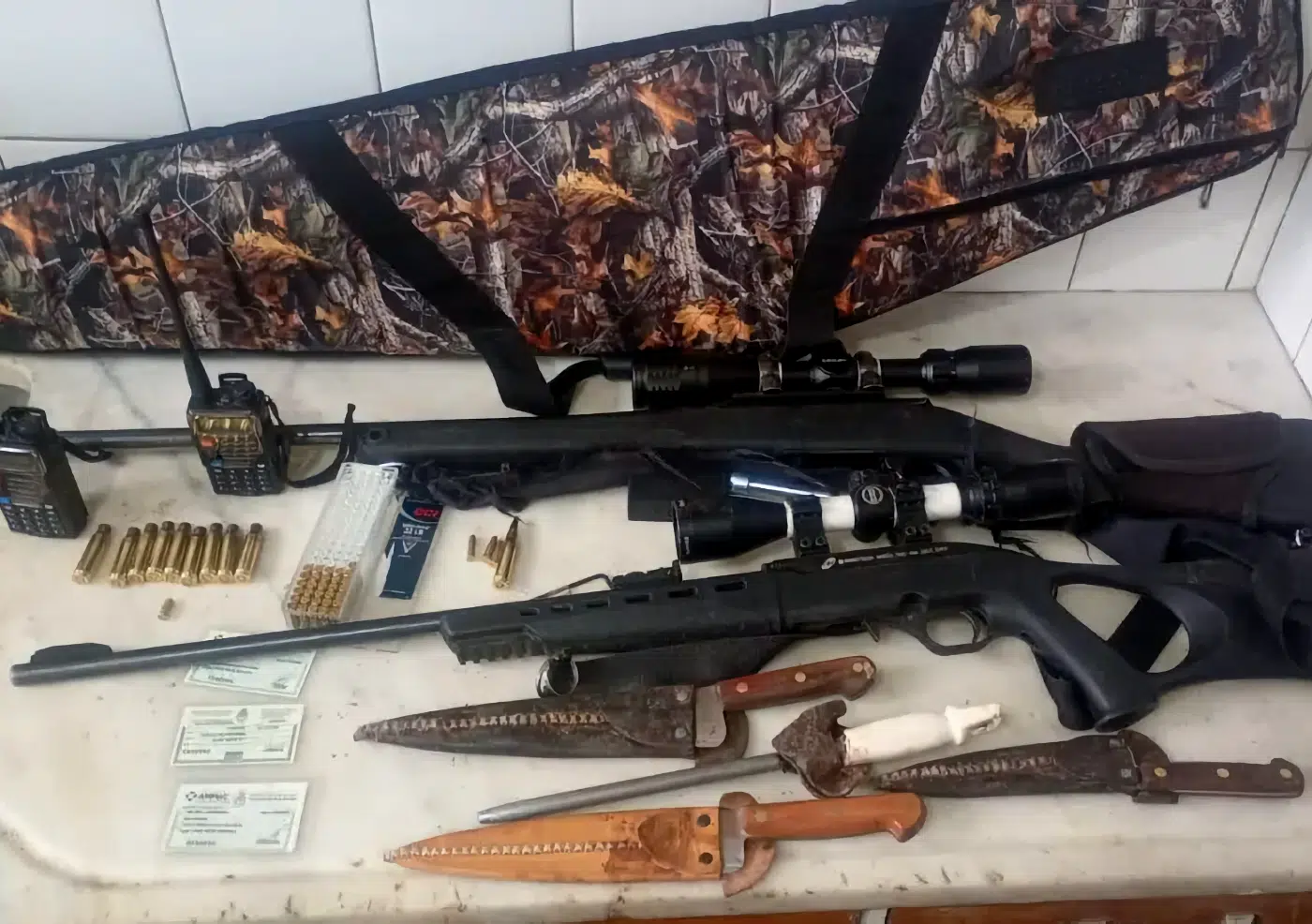 Policía del Chubut incautó rifles y guanaco en Ruta 29