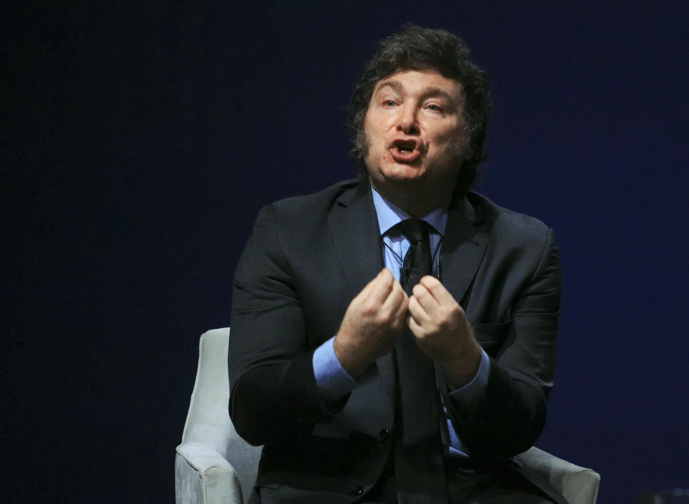 El Presidente Javier Milei - Foto: NA