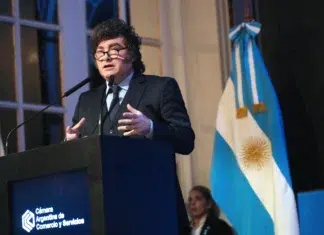 Milei ratificó metas de inflación y expansión económica Milei ratificó metas de inflación y expansión económica