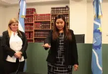 Declaran a 23 gatos como seres sintientes y sujetos de derecho Declaran a 23 gatos como seres sintientes y sujetos de derecho