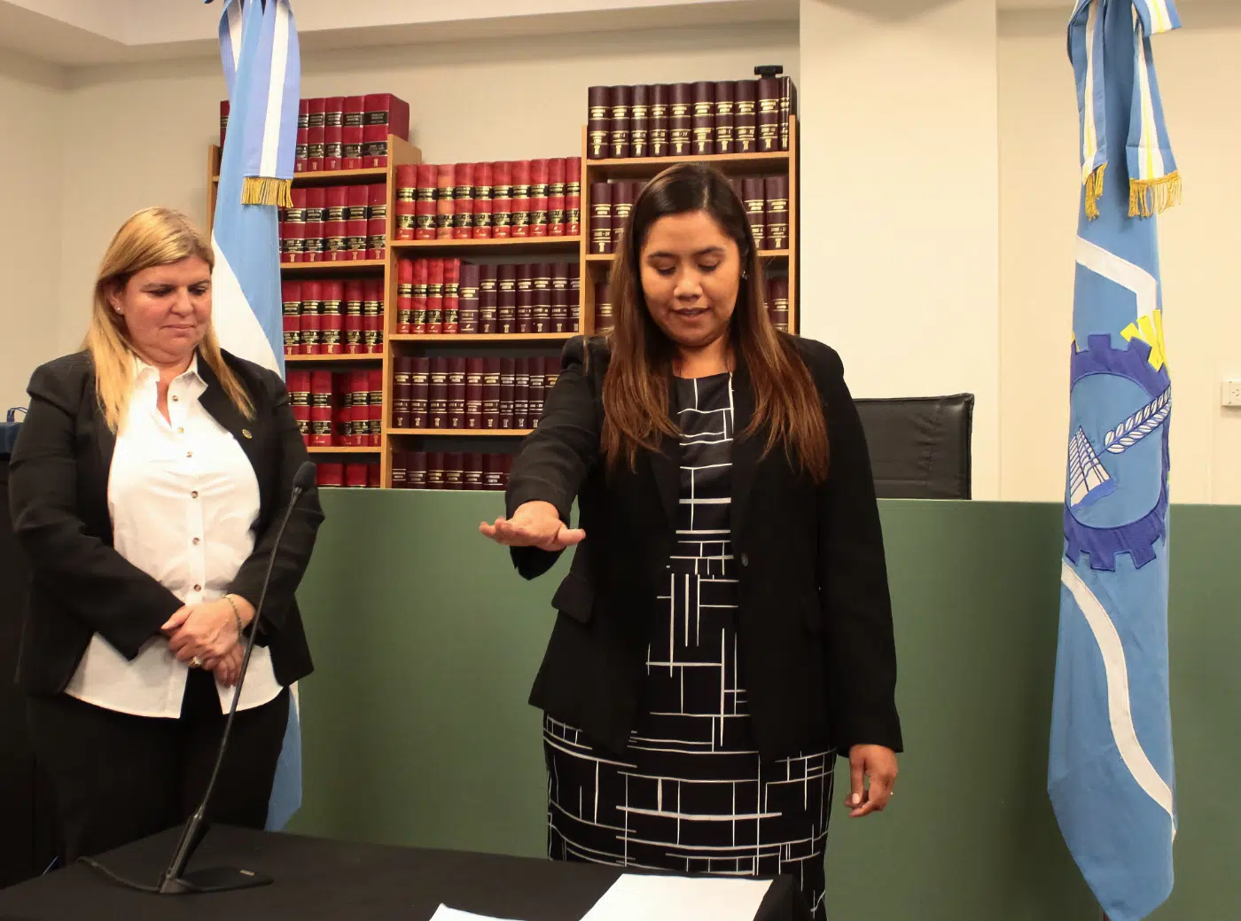 Declaran a 23 gatos como seres sintientes y sujetos de derecho Declaran a 23 gatos como seres sintientes y sujetos de derecho