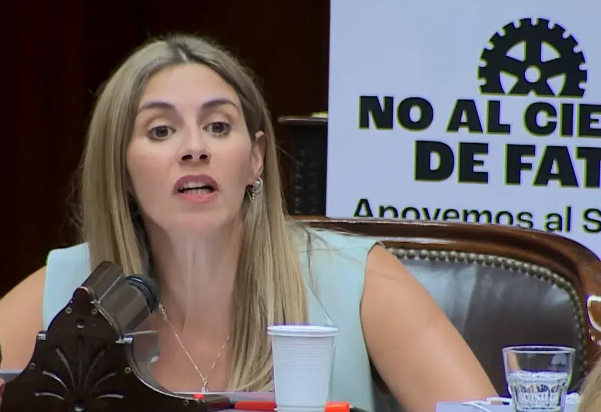 La diputada nacional Marcela Pagano