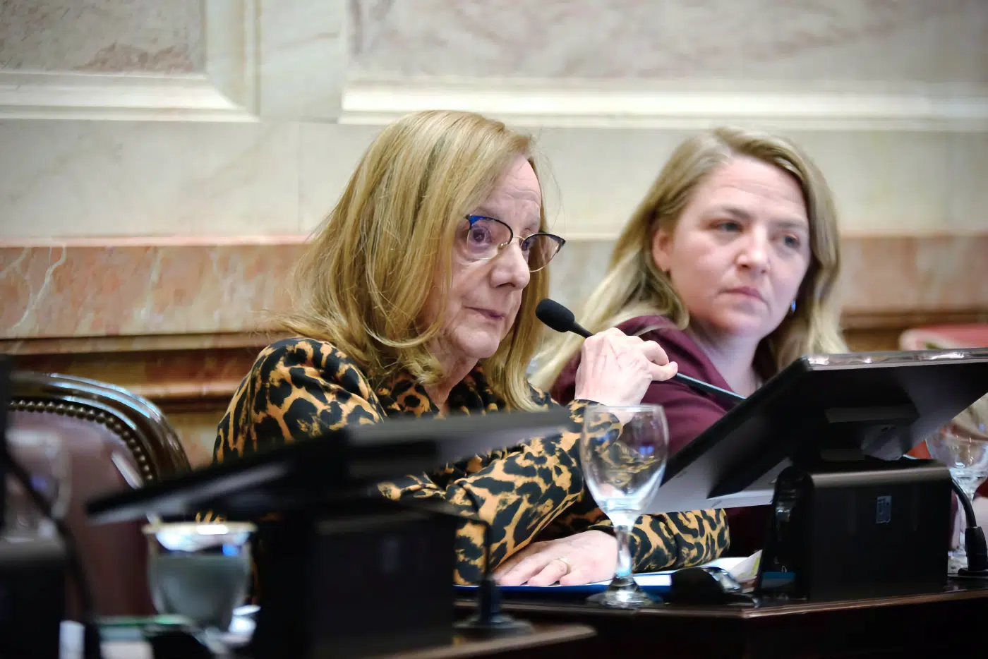 La farsa de la austeridad. Alicia Kirchner no rechazó la dieta, eligió su jubilación de privilegio. El engaño detrás del "rechazo" al aumento de los senadores