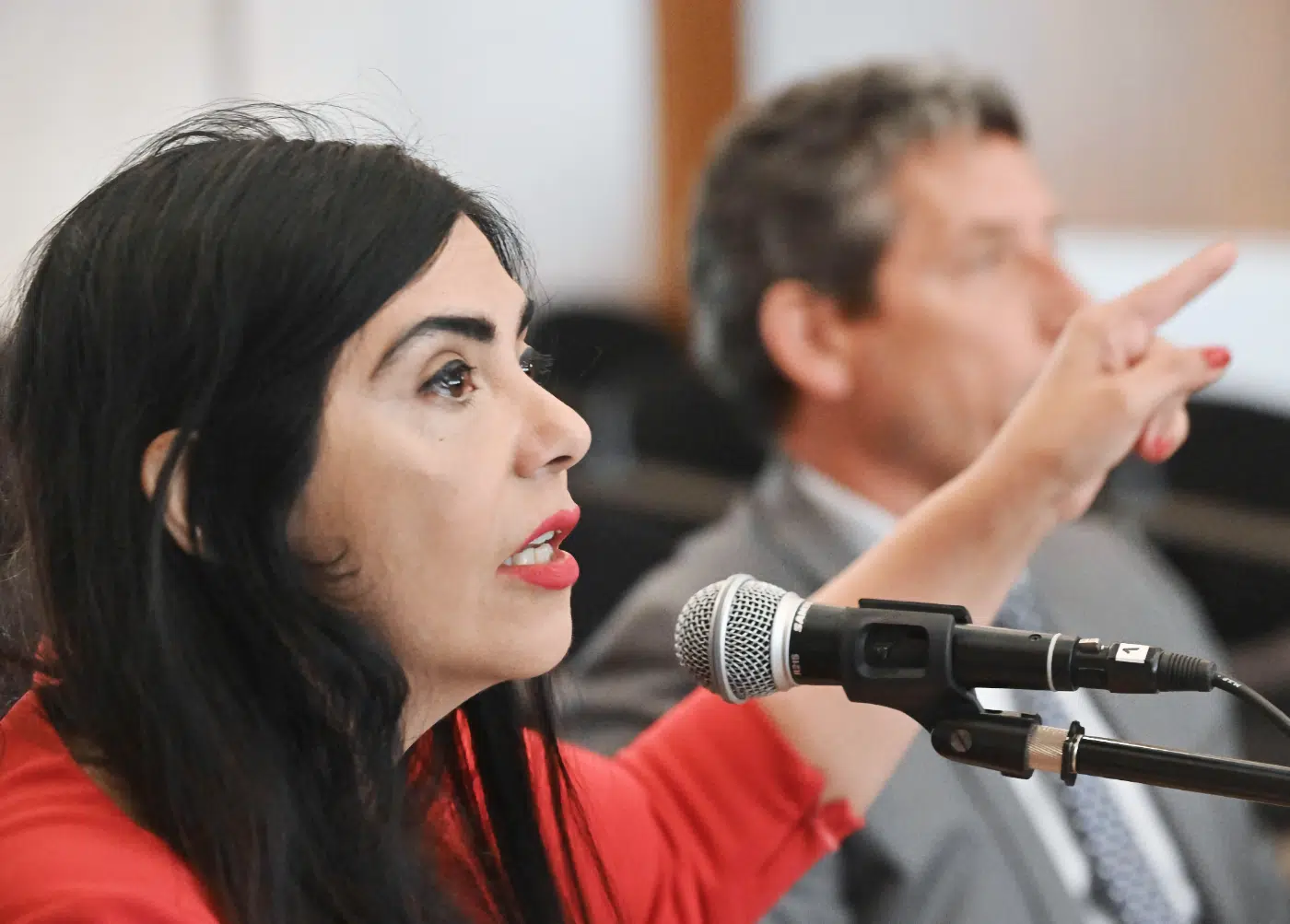 La jueza Mariel Suárez - Foto: Gentileza Diario Jornada La jueza Mariel Suárez - Foto: Gentileza Diario Jornada