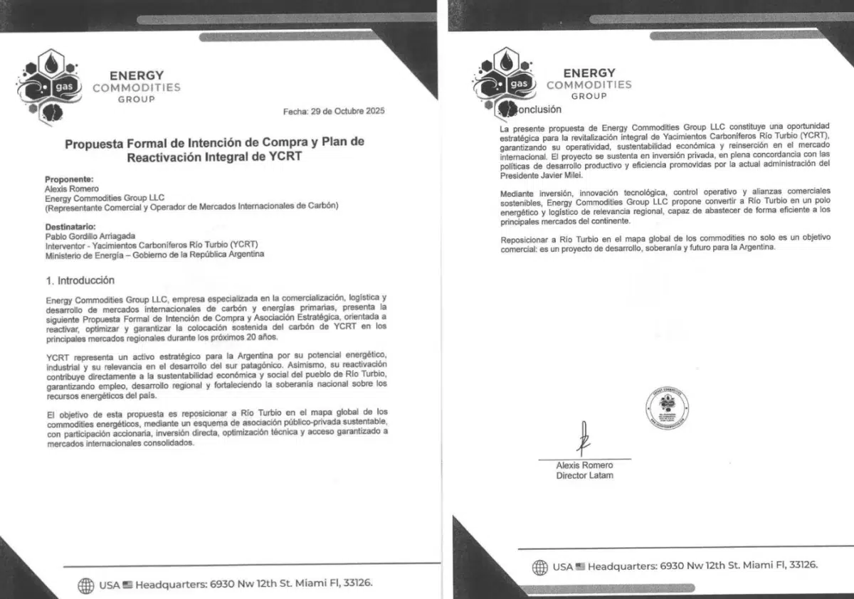YCRT por 130 años. Una firma de Miami busca quedarse con la mina, el tren, la usina y el puerto, mientras los conflictos y las pérdidas son del Estado