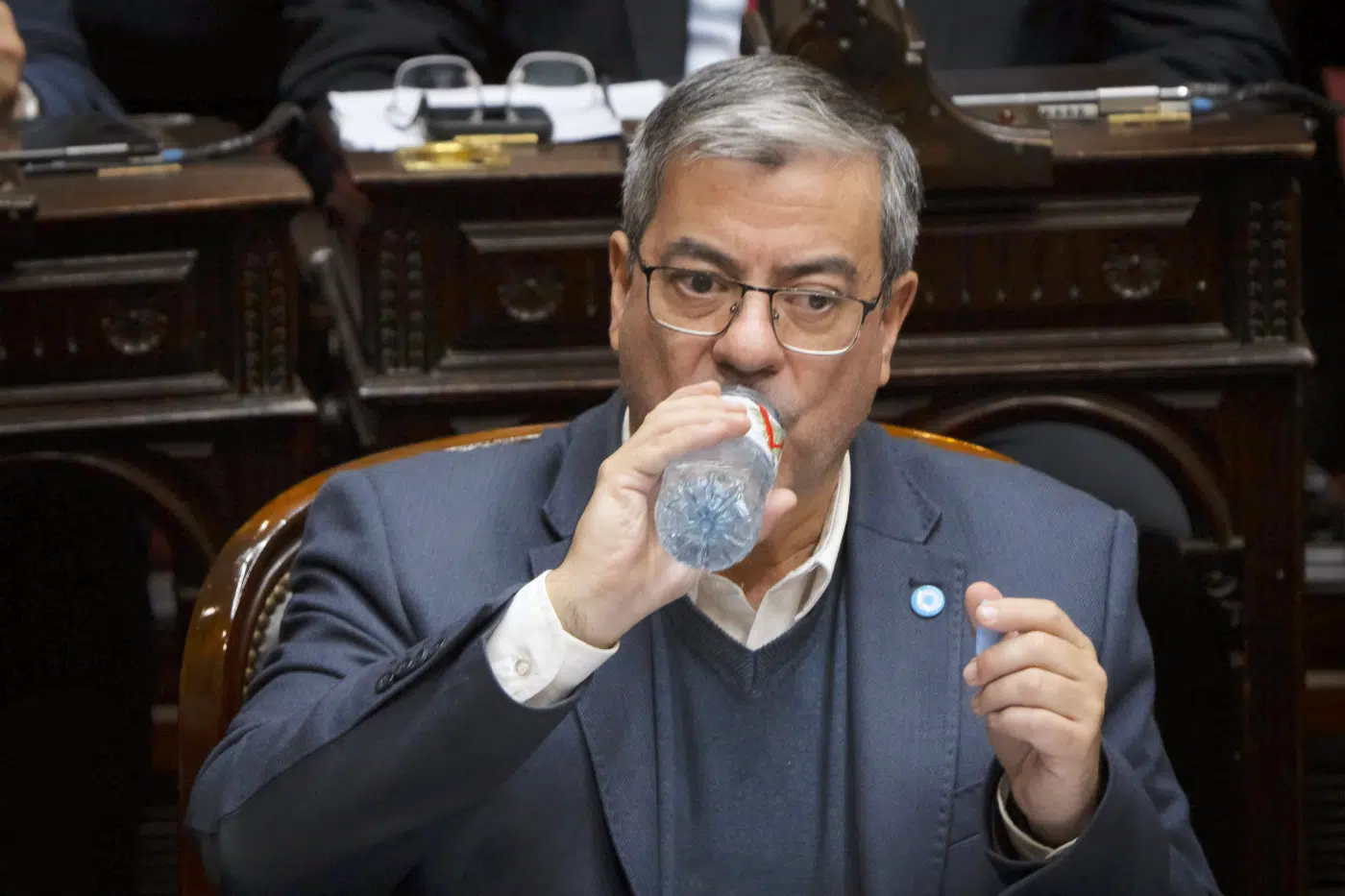 Germán Martínez, presidente del bloque Unión por la Patria - Foto: NA Germán Martínez, presidente del bloque Unión por la Patria - Foto: NA