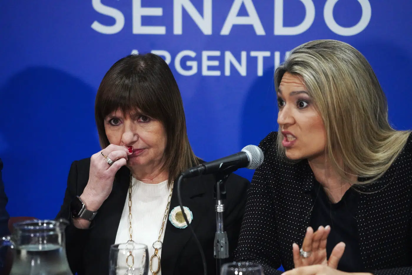 Nadia Márquez presidirá la Comisión de Acuerdos en el Senado - Foto: NA Nadia Márquez presidirá la Comisión de Acuerdos en el Senado - Foto: NA